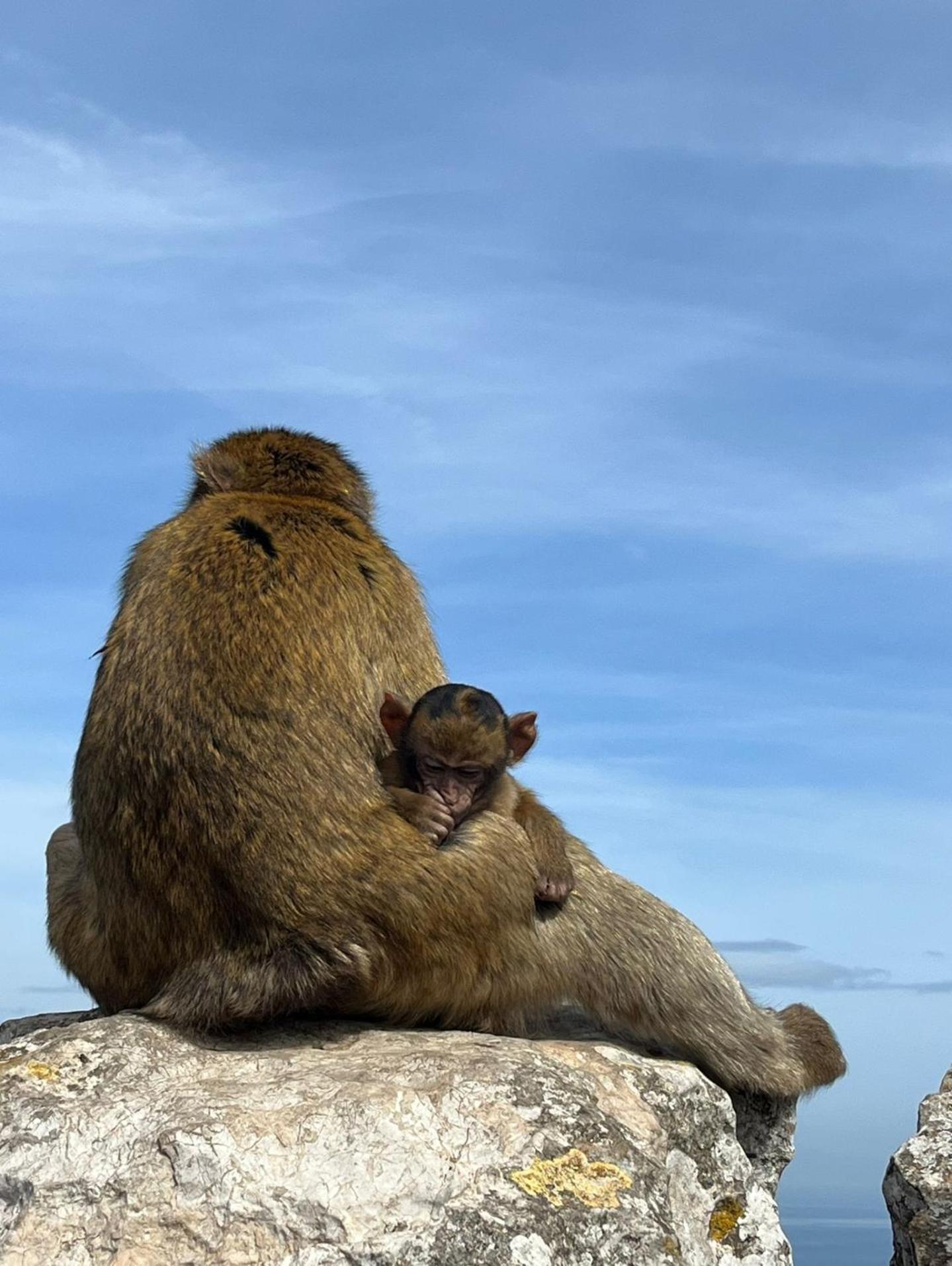 Sunny Gibraltar公寓 外观 照片
